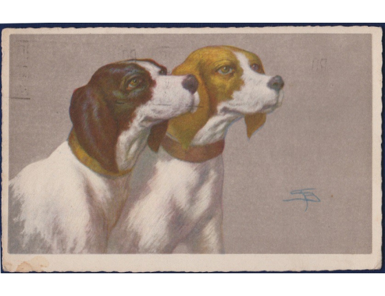 Italy - Postcard Dogs 1928