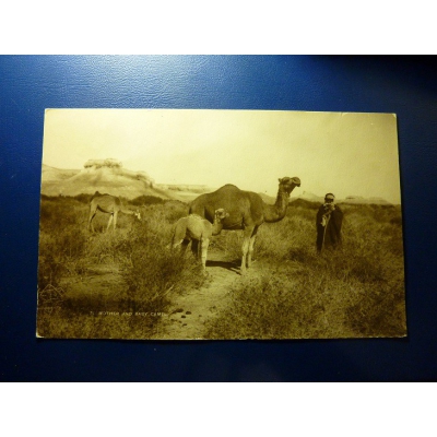 Asien - Postkarte Palästina, Mutter und Baby-Kamel 1929